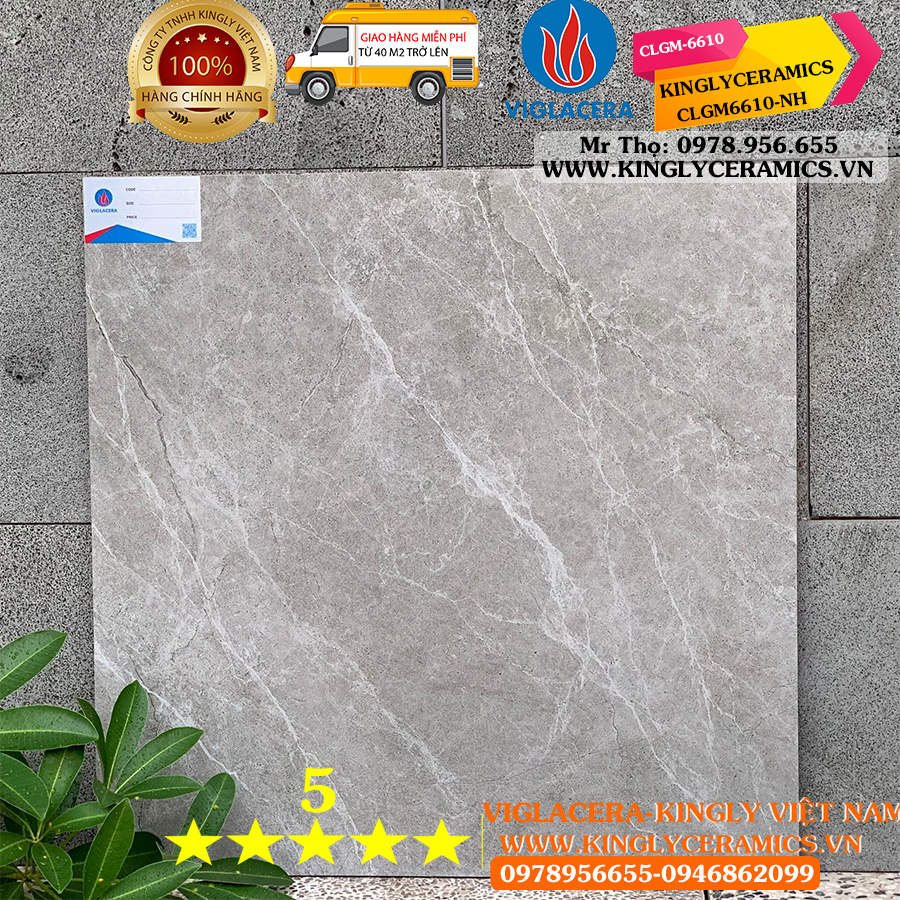 Gạch Viglacera 60x60 CLGM6610